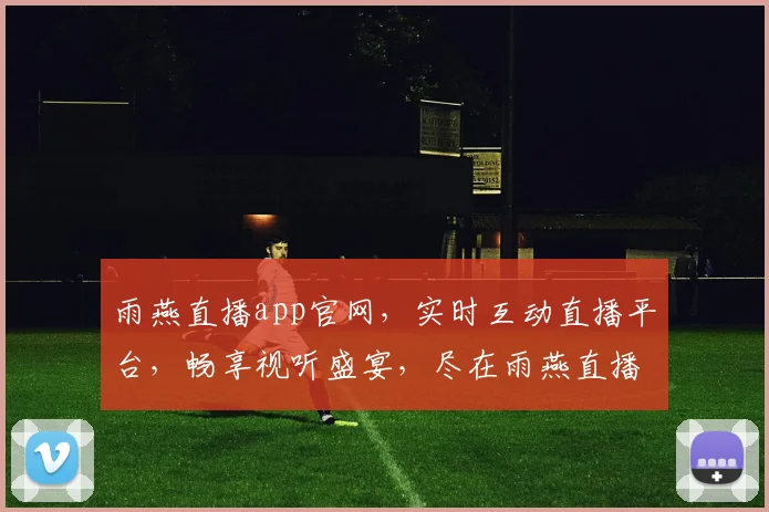 雨燕直播app官网，实时互动直播平台，畅享视听盛宴，尽在雨燕直播，快来体验